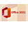 Microsoft Office 2021 Professional
